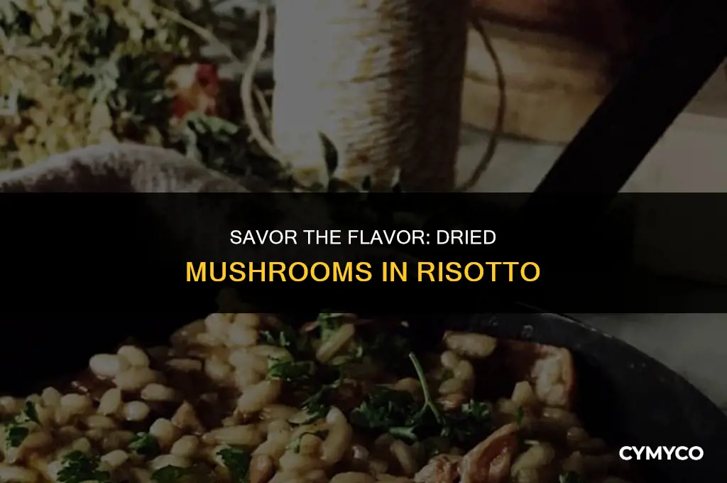 how to use dried mushrooms in risotto