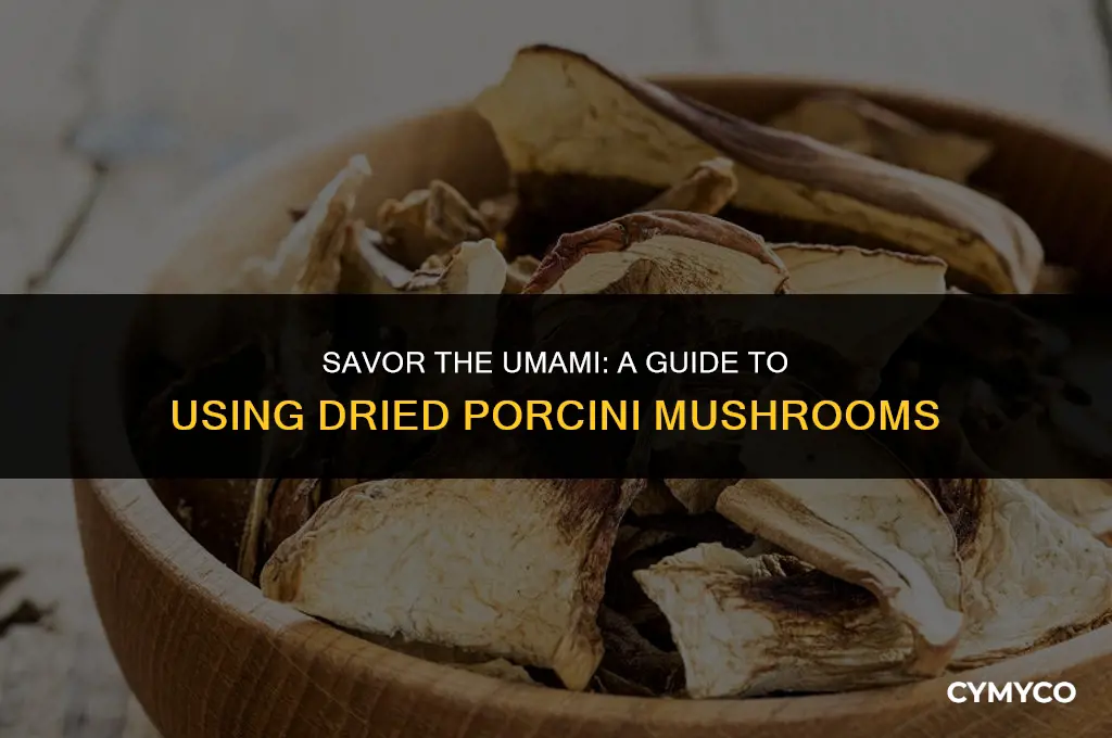 how to use dried porcini