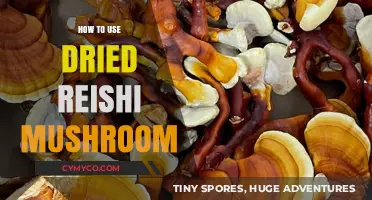 Unlocking Wellness: A Guide to Using Dried Reishi Mushrooms