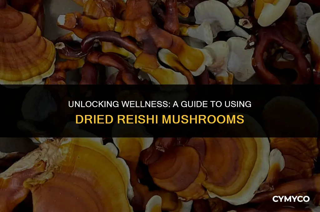 how to use dried reishi mushroom