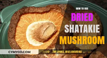 Exploring the Rich Umami of Dried Shiitake Mushrooms: A Culinary Guide