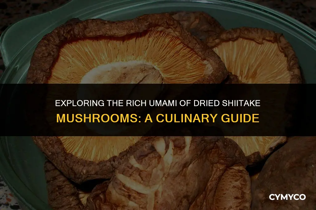 how to use dried shatakie mushrooms