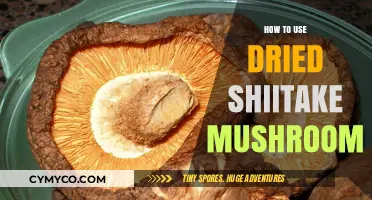 Unlocking Umami: The Art of Using Dried Shiitake Mushrooms