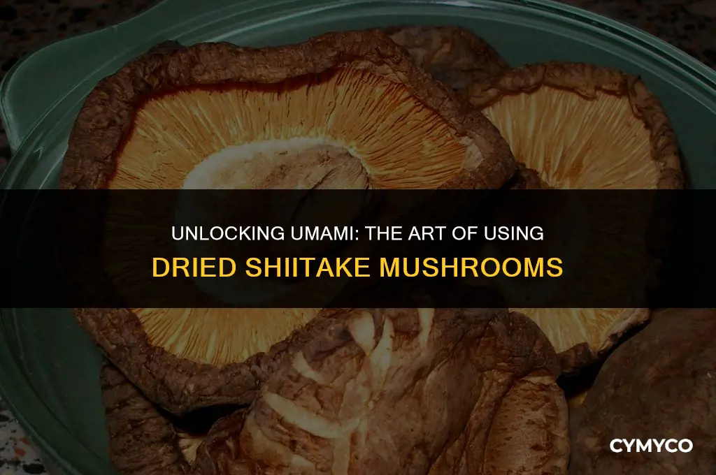 how to use dried shiitake mushroom