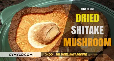 Unlocking Umami: A Guide to Using Dried Shiitake Mushrooms