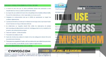 Creative Ways to Use Excess Mushrooms in Your Cooking