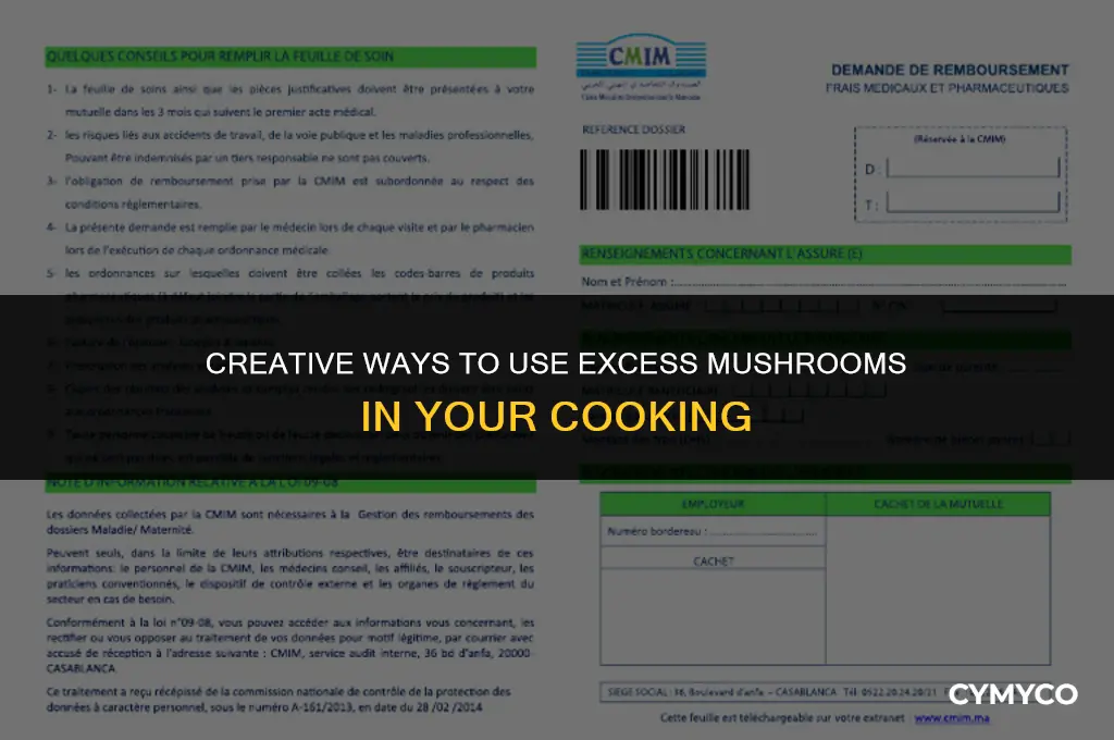 how to use excess mushrooms