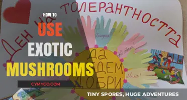 Exploring the Culinary Magic of Exotic Mushrooms: A Guide
