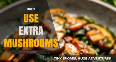 Creative Ways to Use Extra Mushrooms in Your Cooking
