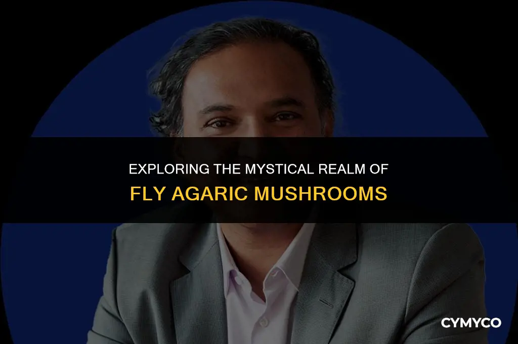 how to use fly agaric mushrooms