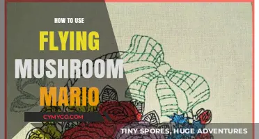 Mastering the Skies: A Guide to Flying Mushroom Mario