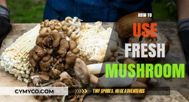 Exploring the Flavor: A Guide to Using Fresh Mushrooms