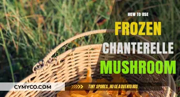 Savor the Flavor: Cooking with Frozen Chanterelle Mushrooms