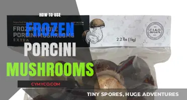 Savor the Flavor: A Guide to Using Frozen Porcini Mushrooms
