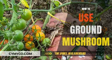 Exploring the Earthy Delights: A Guide to Using Ground Mushrooms