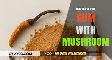 Exploring the Culinary Magic: Guar Gum and Mushrooms