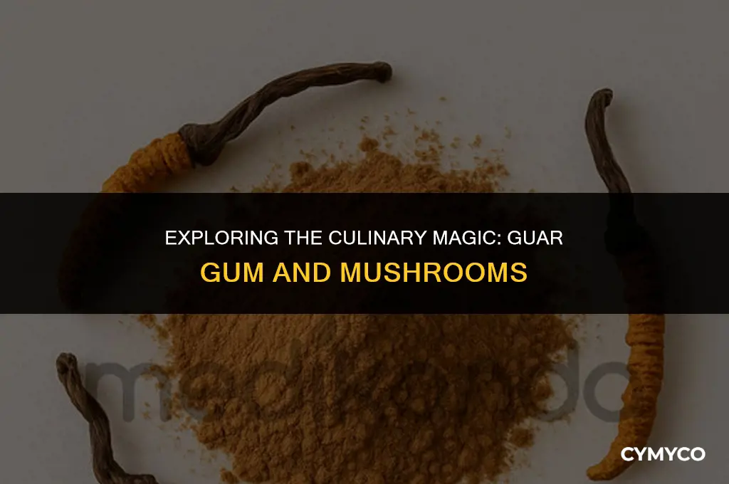 how to use guar gum with mushrooms