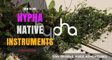 Exploring Sound: A Beginner's Guide to Using Hypha Native Instruments