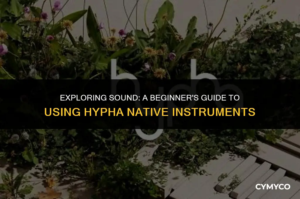 how to use hypha native instruments