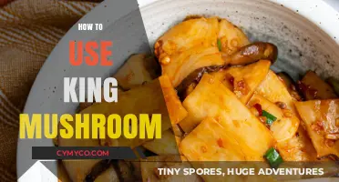 Exploring the Culinary Magic of King Mushrooms: A Gourmet's Guide