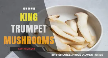 Exploring the Culinary Magic of King Trumpet Mushrooms