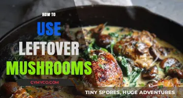 Creative Ways to Use Leftover Mushrooms in Your Next Meal