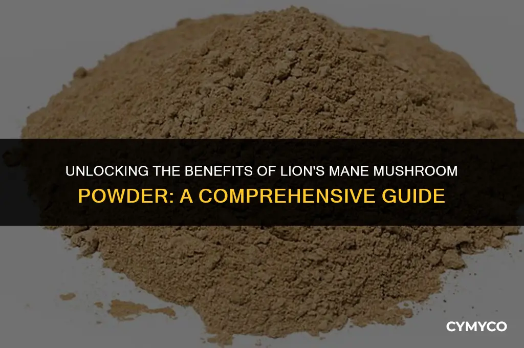 how to use lion