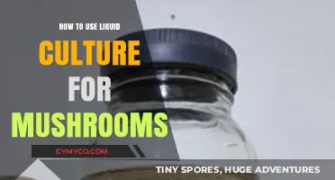 Mastering Mushroom Cultivation: A Guide to Liquid Culture Techniques