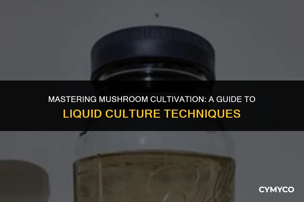 how to use liquid culture for mushrooms