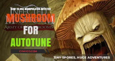 Exploring Autotune Techniques with Infected Mushroom's Manipulator