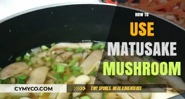 Exploring the Culinary Magic of Matusake Mushrooms: A Gourmet's Guide