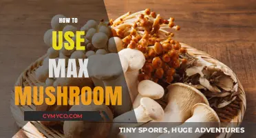 Unlocking the Potential: A Guide to Maximizing Mushroom Benefits