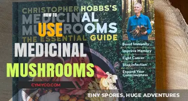 Exploring the Healing Potential: A Guide to Medicinal Mushrooms