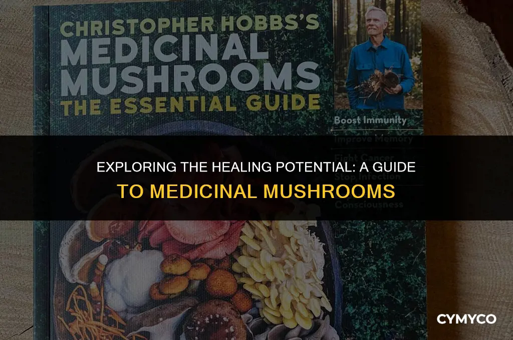 how to use medicinal mushrooms