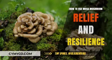Unlocking Relief and Resilience: A Guide to Mega Mushroom Benefits