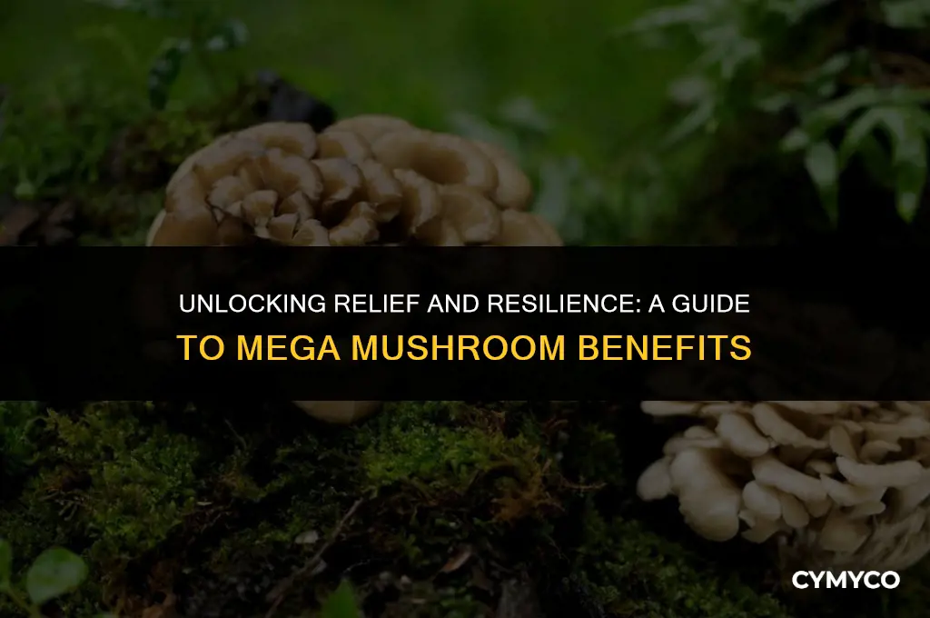 how to use mega mushroom relief and resilience