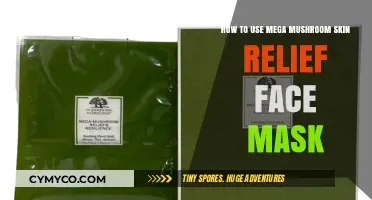 Revitalize Your Skin: The Mega Mushroom Face Mask Guide