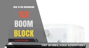 Exploring the Culinary Magic of 1lb Mushroom Boom Blocks