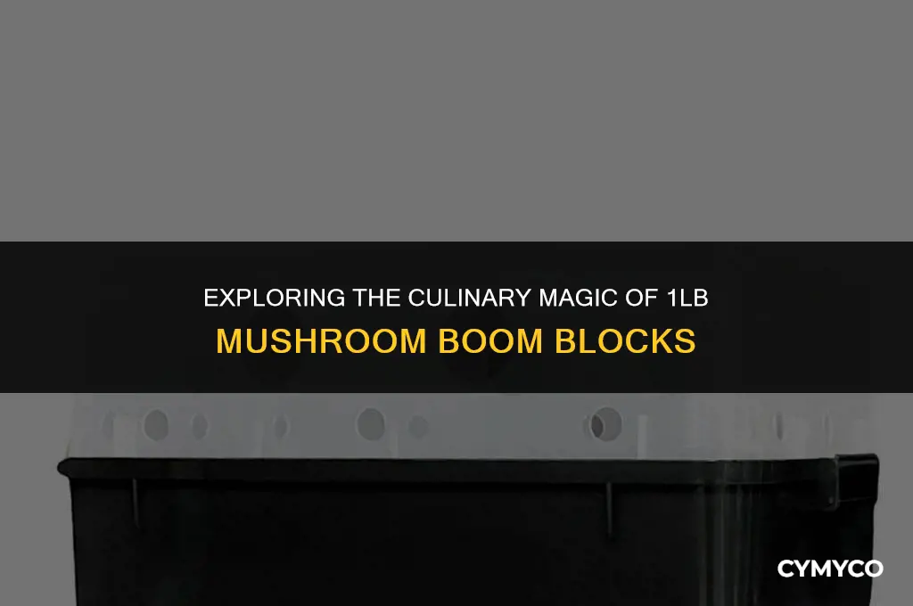 how to use mushroom 1lb boom block