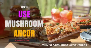 Exploring the Culinary Magic: How to Use Mushroom Anchors in Your Recipes