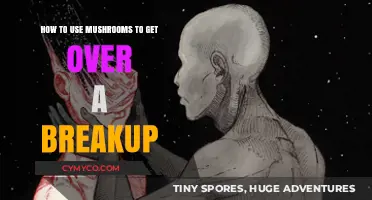 Healing with Fungi: A Guide to Using Mushrooms Post-Breakup