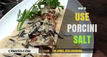 Elevate Your Dishes: The Magic of Porcini Salt