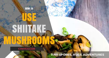 Mastering Shiitake Mushrooms: Delicious Recipes and Cooking Techniques