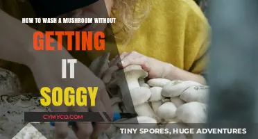 The Ultimate Guide to Washing Mushrooms Without Making Them Soggy