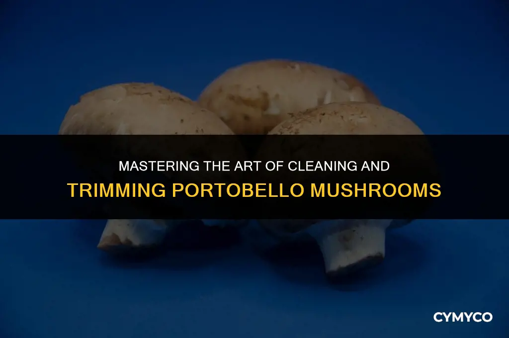 how to wash and trim portobello mushrooms