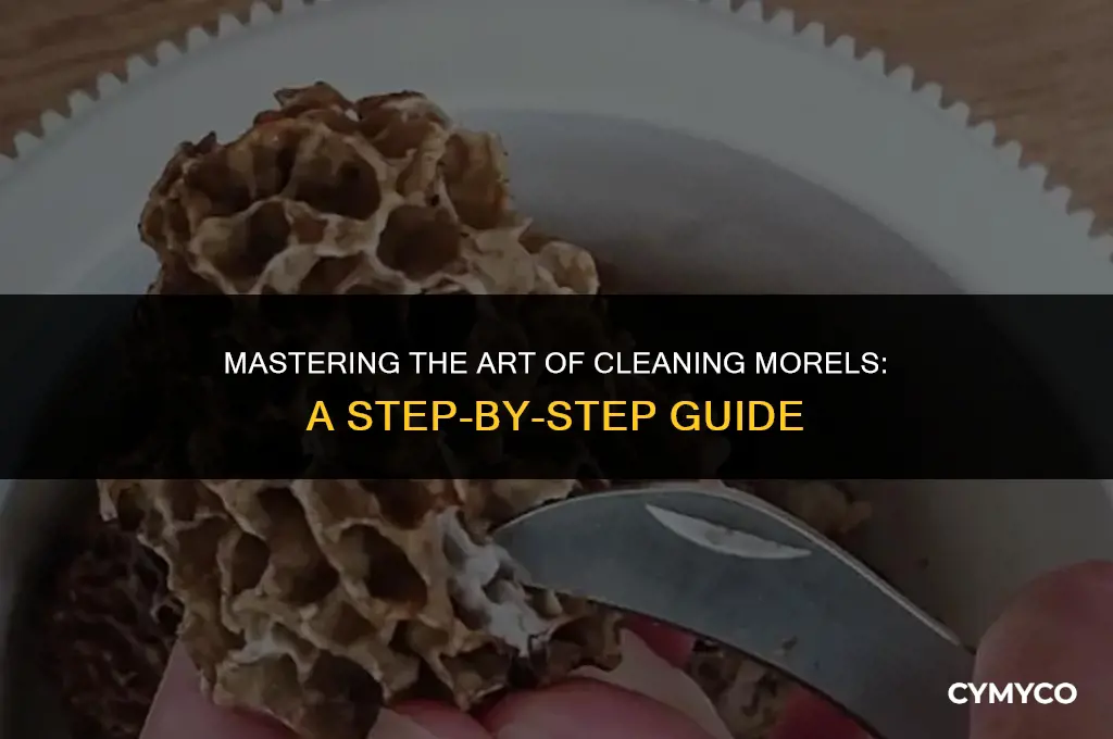 how to wash morels