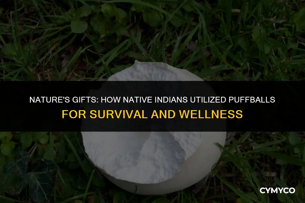 how would native indians use puffballs