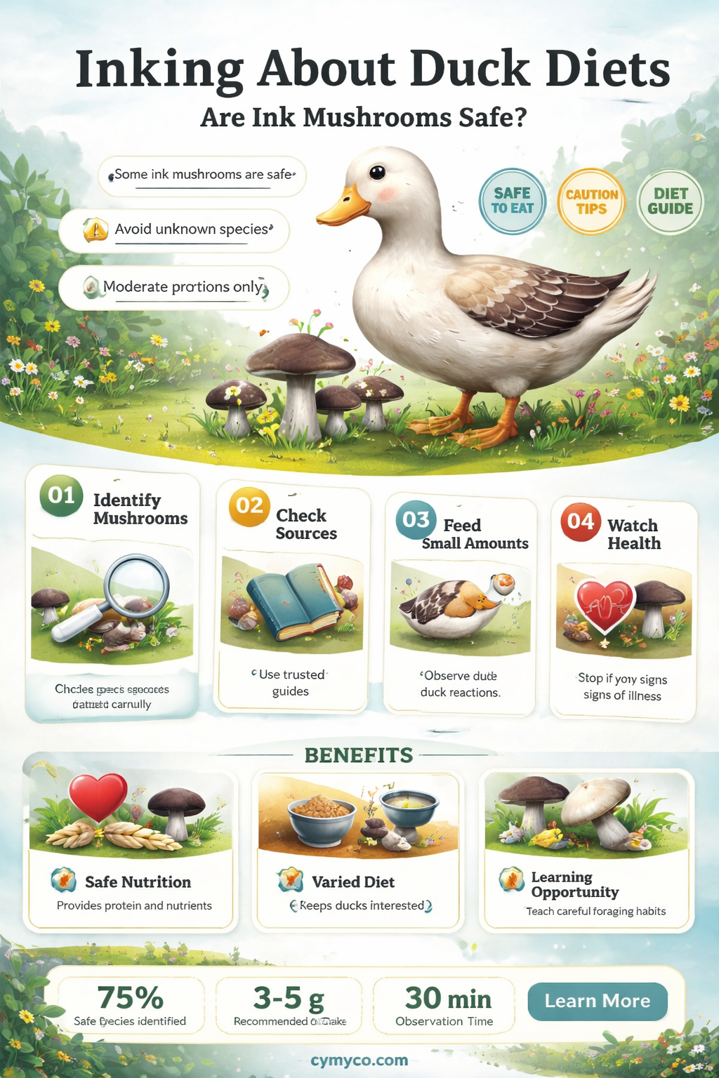 are ink mushrooms ok for my ducks to eat