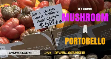 From Cremini to Portobello: The Delicious Evolution of Mushrooms