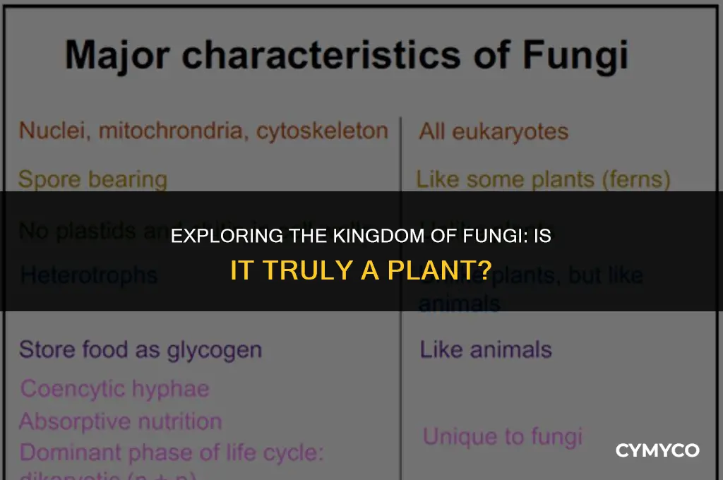 is a fungi a plant